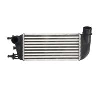 THERMOTEC DAF010TT Intercooler Compatible con FIAT 500 312 500 C 312, FORD KA RU8