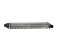 THERMOTEC DAG008TT Intercooler Compatible con VW SHARAN 7M8, 7M9, 7M6 Sharan Furgoneta 7M, FORD Galaxy Mk1 MPV WGR, SEAT Alhambra 7V8, 7V9