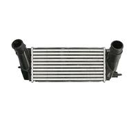 THERMOTEC DAG027TT Intercooler Compatible con FORD Fiesta Mk6 Hatchback CB1, CCN, JA8, JR8 Fiesta Mk6 Furgoneta B-MAX JK ECOSPORT Transit Courier Furgoneta