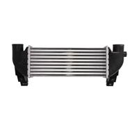 THERMOTEC DAG031TT Intercooler/LLK Turbocooler compatible con Ford Transit Connect P65, P70, P80 1201168 2T1Q9L440AB 2T1Q9L440AC