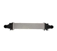 Thermotec DAM025TT Intercooler LLK Turbo Intercooler