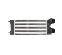 Intercooler THERMOTEC DAP002TT
