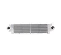 Radiador de aire de admisión THERMOTEC DAR006TT para KANGOO BE BOP 1.5 2009-