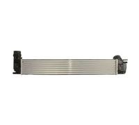 Intercooler Aluminio DAR021TT THERMOTEC para RENAULT MEGANE CC MEGANE III Coupé