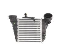 THERMOTEC DAT001TT Intercooler Compatible con VW Polo IV Hatchback 9N, 9A, SKODA Fabia I Combi 6Y5 FABIA 6Y2, SEAT Ibiza III Hatchback 6L, 6L1