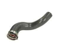 Manguera de aire de carga THERMOTEC DCR232TT