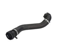 Manguera de radiador THERMOTEC DWB311TT