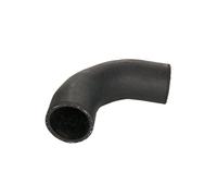 Manguera de aire de carga THERMOTEC DWG084TT