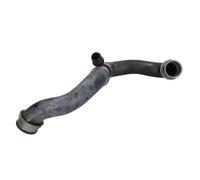 Thermotec Tubería de radiador DWM166TT