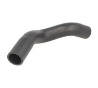 Manguera de radiador THERMOTEC DWX026TT