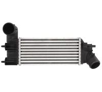 Intercooler THERMOTEC DAC005TT
