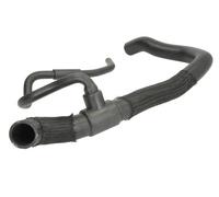 THERMOTEC Manguera Enfriador Tubo para Renault Scénic III JZ0/1_ 1.9 DCI Megane