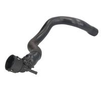 THERMOTEC DWW313TT Tubería de radiador a la izquierda arriba Compatible con AUDI A3 Sportback 8PA, VW Golf 5 Hatchback 1K1 TOURAN 1T1, 1T2, SKODA Octavia II Combi 1Z5 SUPERB Ranchera familiar 3T5