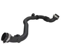 Manguera de aire de carga THERMOTEC DCR250TT