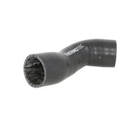 THERMOTEC Tubo flexible de aspiración filtro de aire DCG133TT derecha 160g