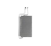 THERMOTEC Vaporizador Acondicionado para Renault Kangoo Express Ford Focus III