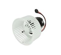 Ventilador de habitáculo THERMOTEC DDB007TT