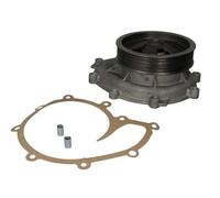 Kit de reparación, bomba de agua THERMOTEC WP-SC119
