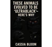 These Animals Evolved To Be 'Ultrablack' - Here's Why