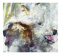 These Arms Are Snakes - Tail Swallowe & Dove +Bonus [Import]