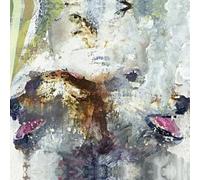 These Arms Are Snakes - Tail Swallower And Dove