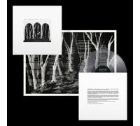 Crooked Wing (Edición deluxe color) - Vinilo trasnparente