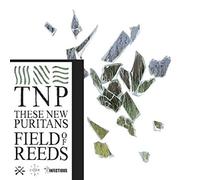 These New Puritans - Field Of Reeds