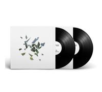 These New Puritans - Field of Reeds [Vinilo]