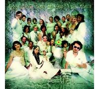 They Came From The Stars I Sawthem Vs Reality - They Came from the Stars I Saw Them Vs. Reality [Vinilo]