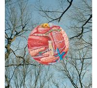 They Might Be Giants - Glean