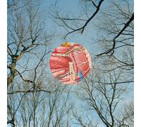 They Might Be Giants - Glean [Vinyl LP] [VINYL] [Vinilo]