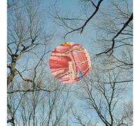 They Might Be Giants - Glean [Vinyl LP] [VINYL] [Vinilo]