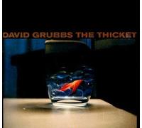 Thicket by David Grubbs (1980-01-01)
