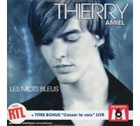 Thierry Amiel - Les Mots Bleus