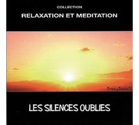 Thierry Dedieu - Les Silences Oubliés