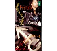 Thieves In The Temple