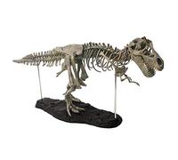 THINCAN Modelo infantil de dinosaurio figura de dinosaurio para edificios de coleccionistas fósiles, figura de juguete, puente educativo para niños