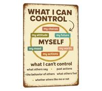 Things I Can Control Vintage Metal Tin Sign Classroom 8x12 Inch