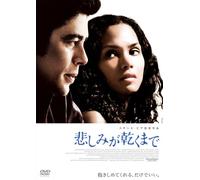 Things We Lost in the Fire [07 [Alemania] [DVD]