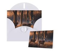 Thinking of You Cards - Tarjeta de agradecimiento con sobre, 15 x 10 cm, diseño de ciervos salvajes, tarjetas de felicitación en blanco para todas las ocasiones