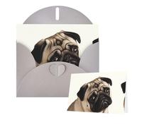 Thinking of You Cards - Tarjeta de agradecimiento de 15 x 10 cm con sobre, tarjeta de felicitación de perro carlino en blanco para todas las ocasiones