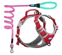 ThinkPet Arnés Deportivo Transpirable sin tirones con asa, Chaleco de Seguridad Acolchado Reflectante para Perro con Correa Reflectante de neón para Perro, Paquete de Correa de arnés L, Color Rojo