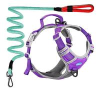 ThinkPet Arnés Deportivo Transpirable sin tirones con asa, Chaleco de Seguridad Acolchado Reflectante para Perro con Correa Reflectante de neón para Perro, Paquete de Correa de arnés S, Color Morado
