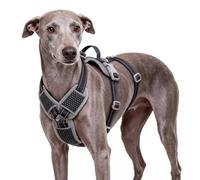 ThinkPet No-Escape - Arnés para perro para galgos y leños, arnés de triple correa a prueba de escape con hebillas de metal y asa de elevación, chaleco reflectante ajustable transpirable, pequeño
