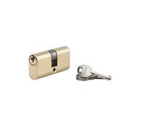 THIRARD - Cilindro de Seguridad Doble Entrada Ovala - Latón - Mecanismo 5 Pasadores - Protección Antirrobo - 28 x 28 mm - Amarillo/Dorado - Incluye 3 Llaves