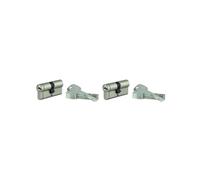 THIRARD - Cilindros de Cerradura TRANSIT 1 - Pack de 2 - Níquel - Ø 30 x 30 mm - 6 Pasadores - Antisnap, Antiganzúa - 10 Llaves Planas Reversibles - Gris