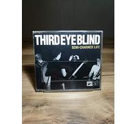 Third Eye Blind - Semi Charmed Life