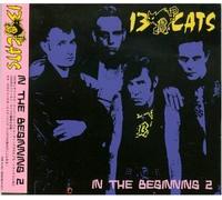 Thirteen Cats - In the Beginning 2