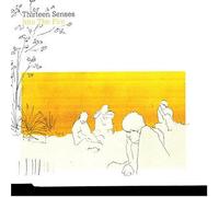 Thirteen Senses - Into the Fire