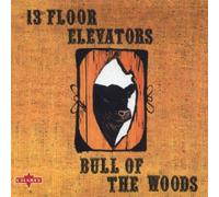 Thirteenth Floor Elevator - Bull Of The Woods